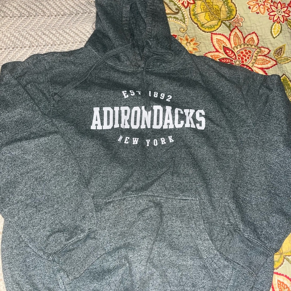 Gray Adirondacks Hoodie